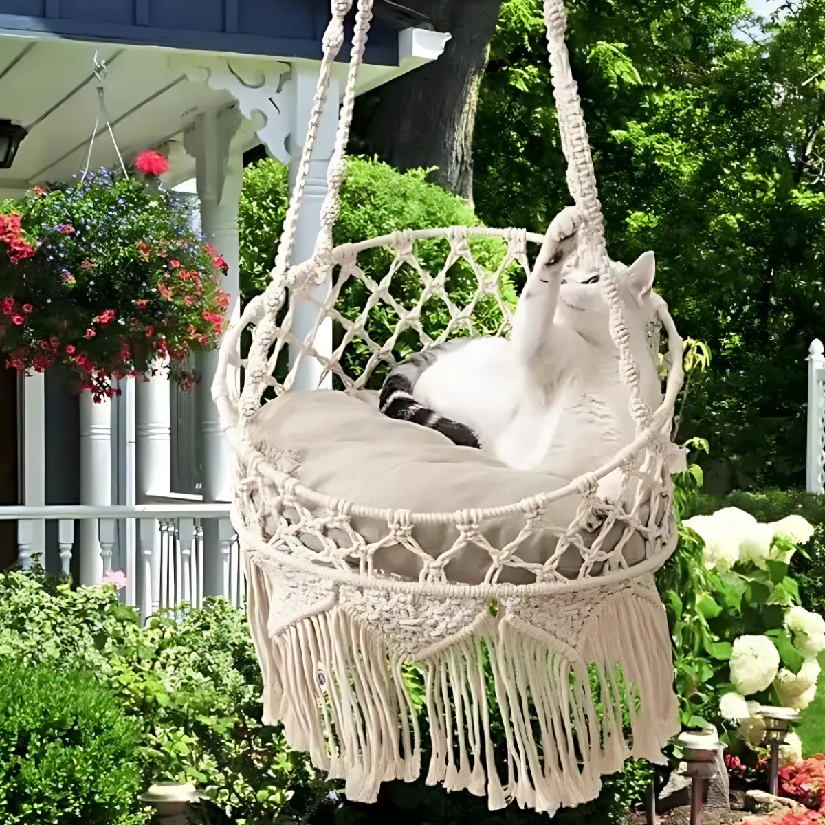 Cat Hammock Boho Cat Swing