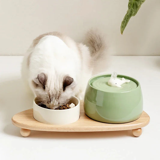 Premium Ceramic Whale Cat Fountain – Ultra-Quiet with Multi-Filtration