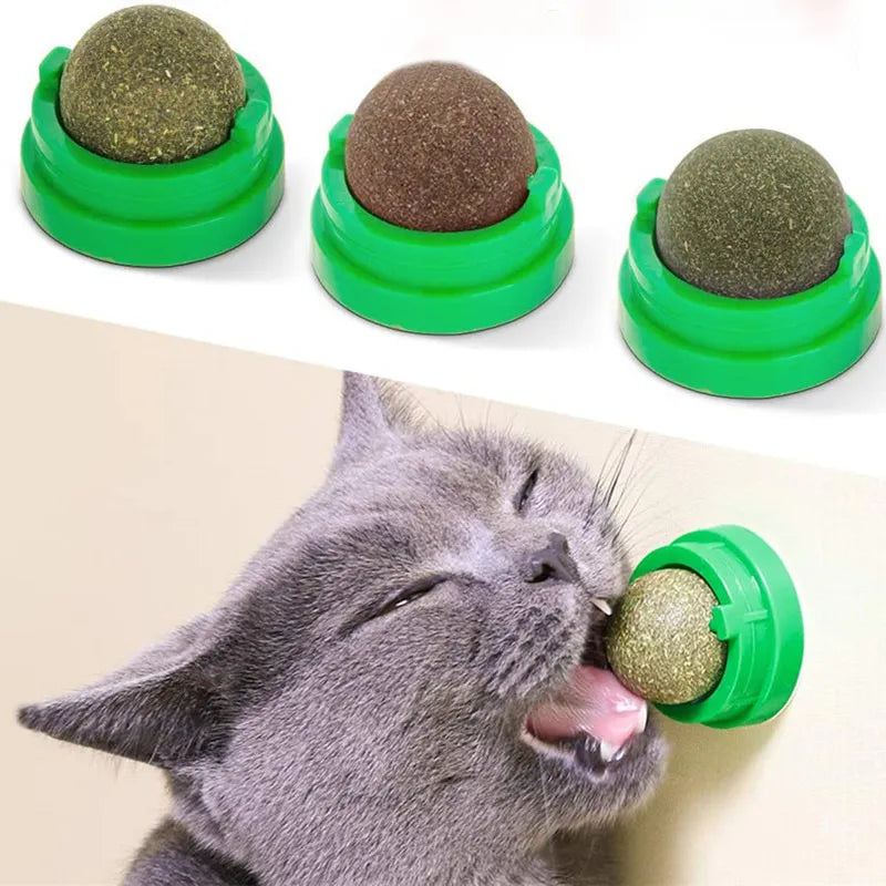 Catnip Ball for Cats – Wall-Mounted Licking Treat with Cat Grass