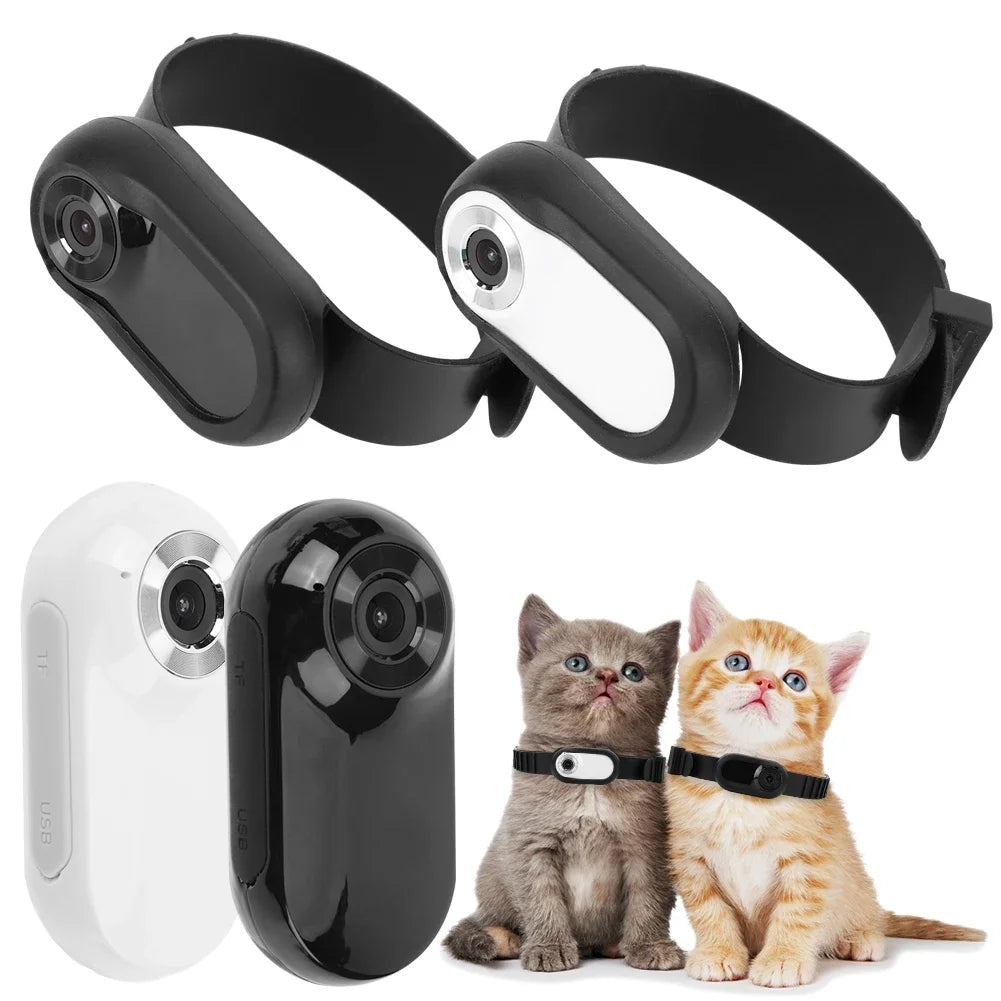 Cat Collar Camera – 1080P HD Video Recording