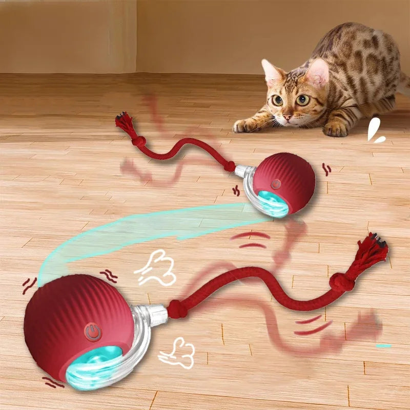 Interactive Cat Toy Ball