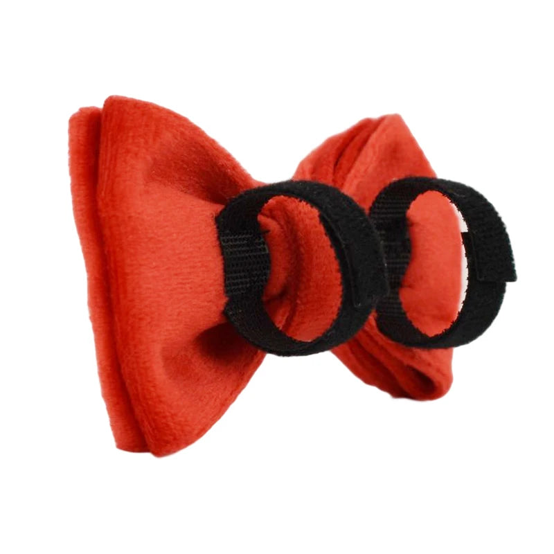 Cat Collar with Name – Luxury Velvet, Bell & Bow