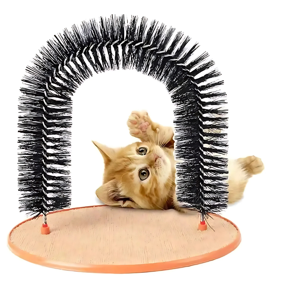 Self-Grooming Cat Arch with Scratching Pad