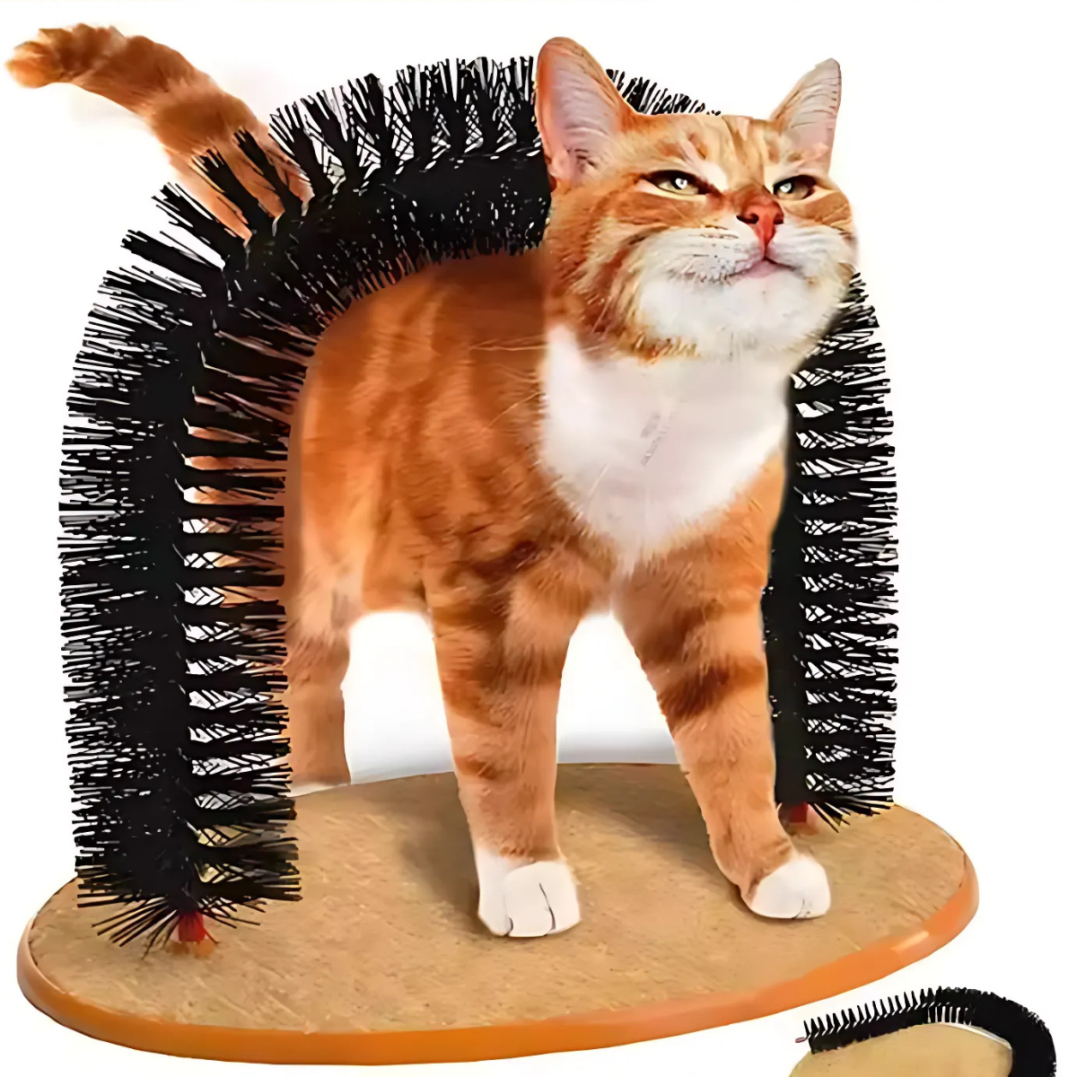 Self-Grooming Cat Arch with Scratching Pad