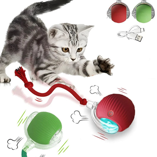 Interactive Cat Toy Ball