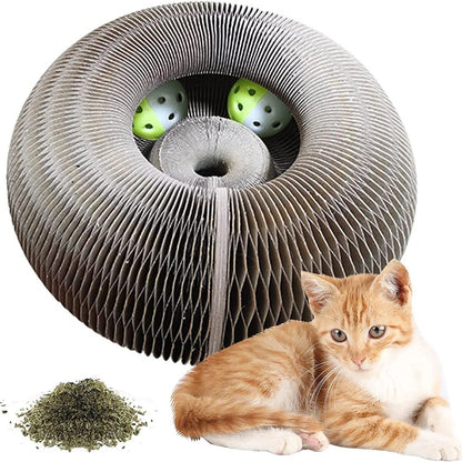 Cat Scratching Toy