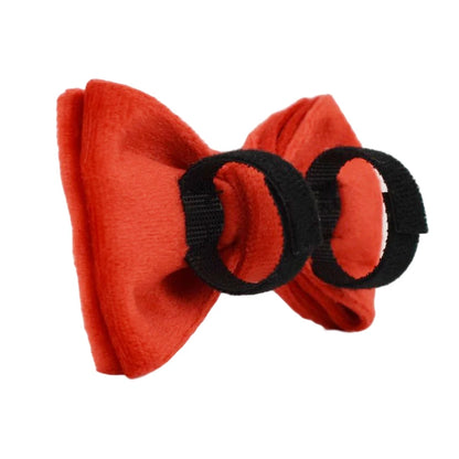 Cat Collar with Name – Luxury Velvet, Bell & Bow