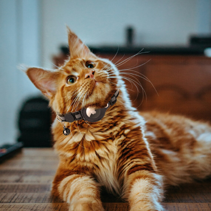 Smart Cat Collar with AirTag Holder and Bell Kitty Comfort Store