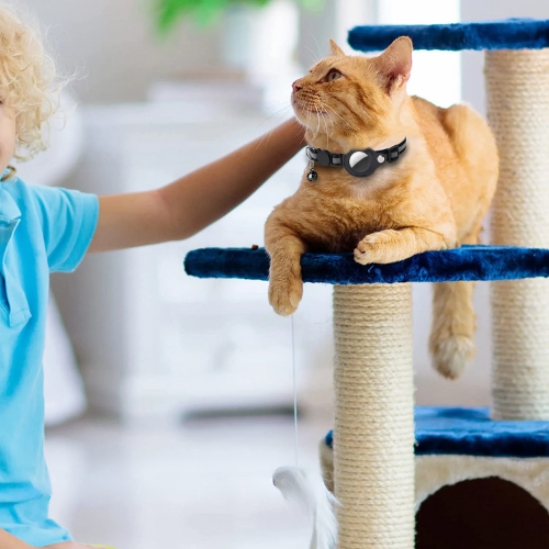 Breakaway Cat Collar with AirTag Holder and Bell